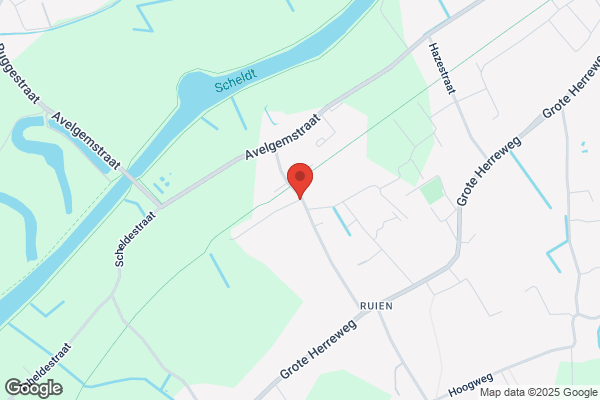 Cottenier-Ronsse/F.