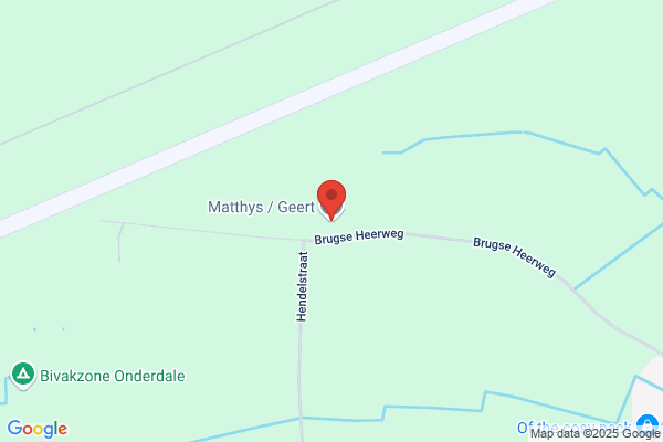 Matthys G