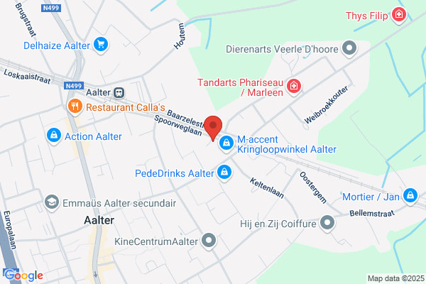De Vlieger J