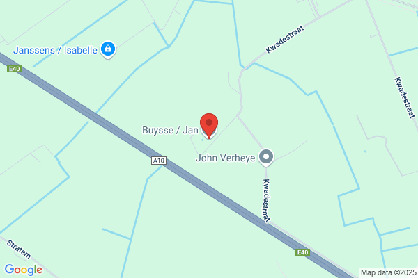 Buysse