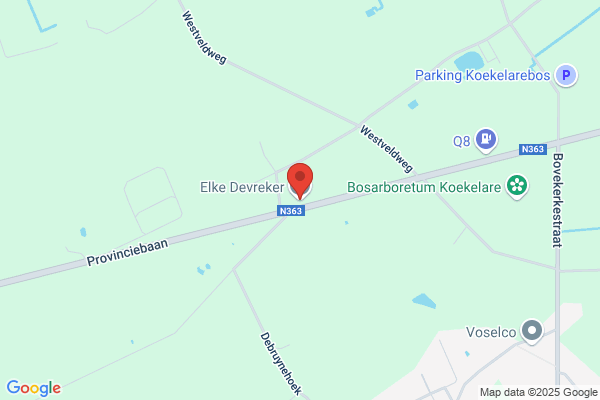 Vanderbeken/Friede