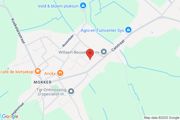 Topovan