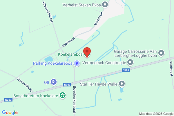 Steen-Vergrauwe/G.