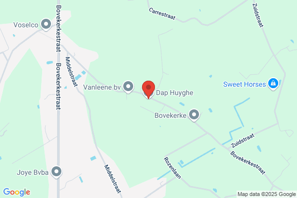 Huyghe T