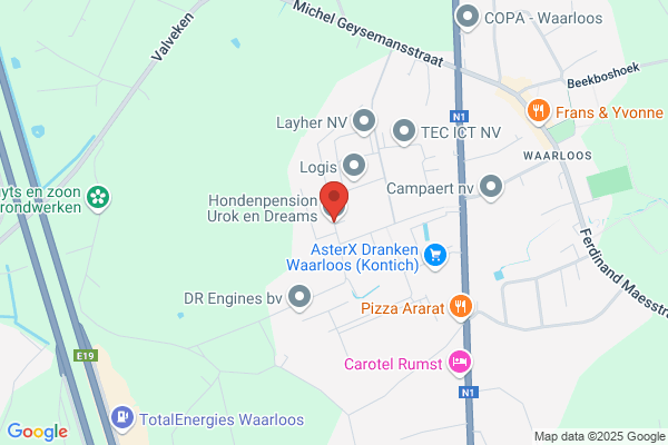 Hondenpension Urok en Dreams