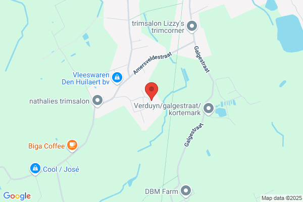 Kunstatelier Tine Lievens