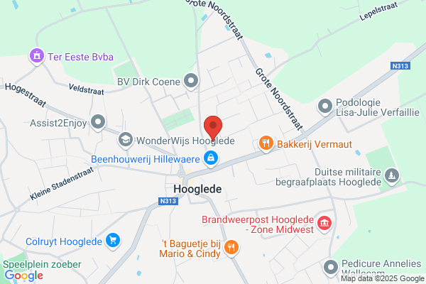 Hoet W