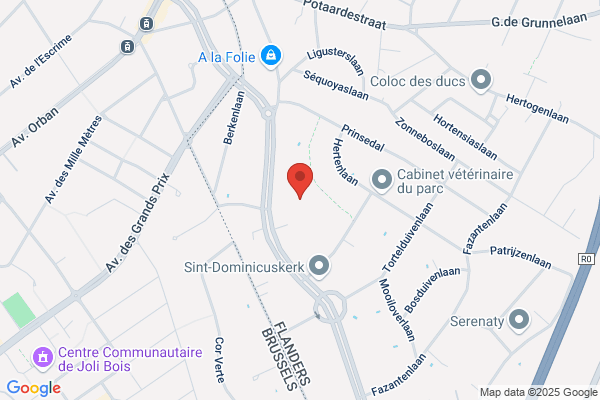 Parc De Bruxelles