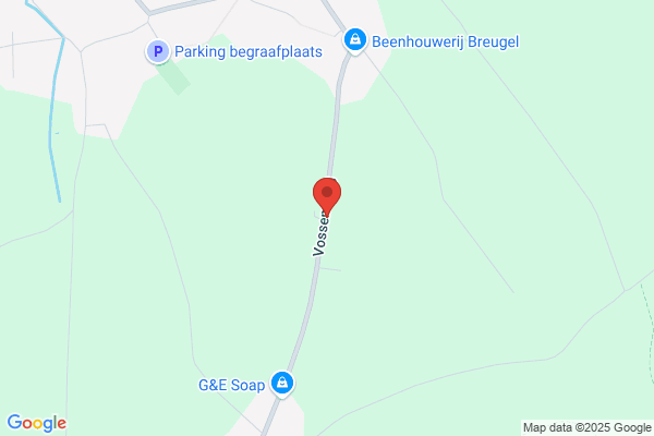 Van Vaerenberg P