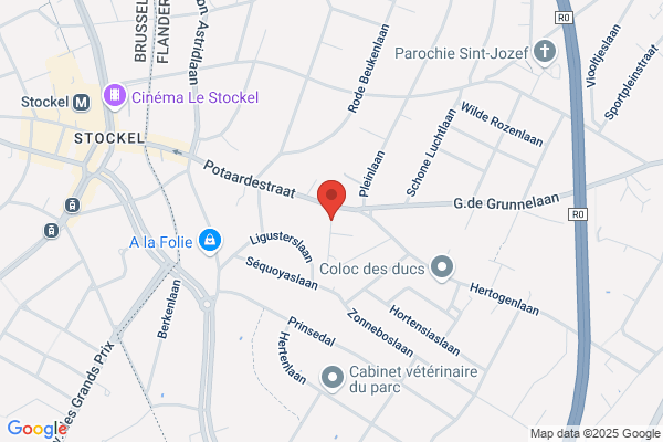 Degreef Betty