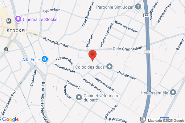 Ffe International Belgium Sa