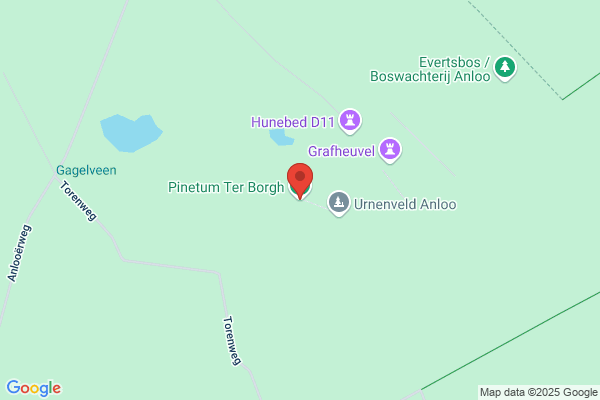 Tuinen En Bossen