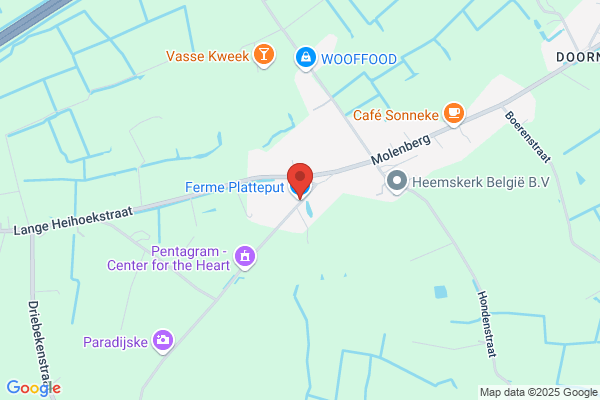 De Jonghe/Nico