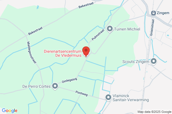 Dierentekeningen