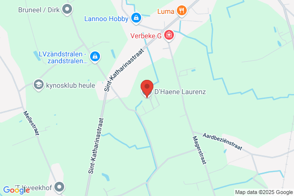 Haenen J