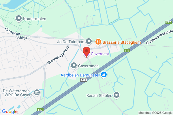 Gavernest