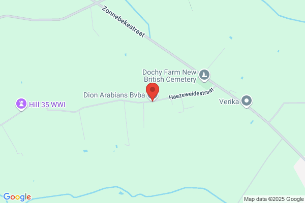 Dion Arabians Despeghel-Van Hee Nv