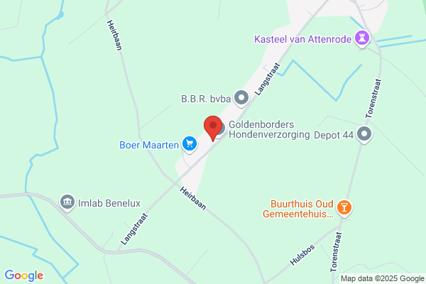 Ortho Labo J Billen