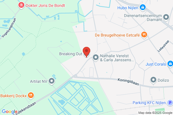 Break Out Bvba
