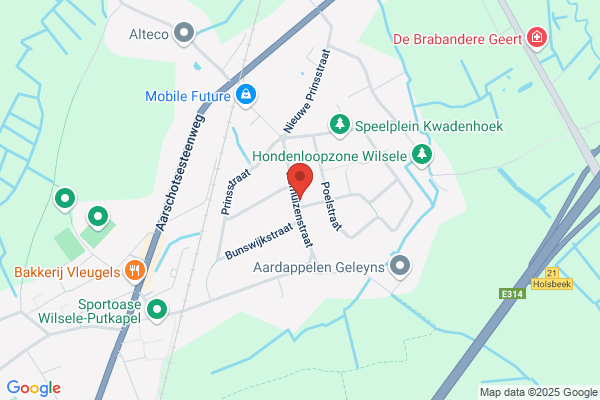 Arbocure Boomverzorging