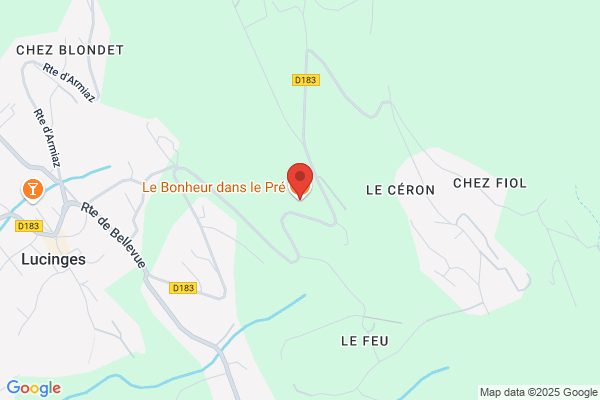 Au Bonheur d'Essence