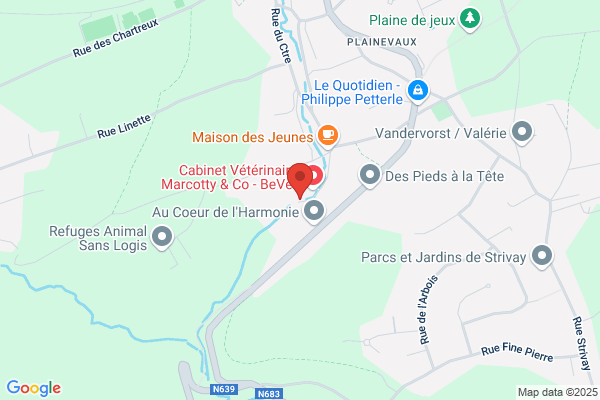 Marcotty & Deruisseau Sprl