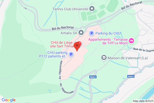 Brasserie Restaurant Du Chu