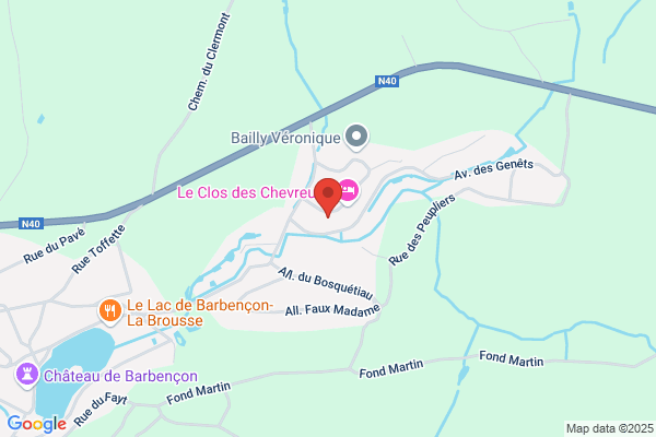 Fabienne Henry