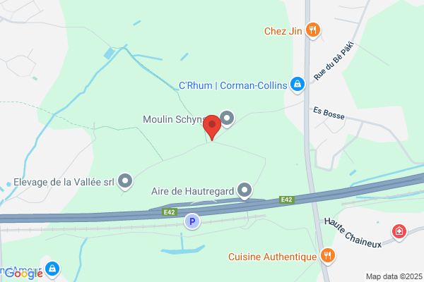 Françoise Vieillevoye