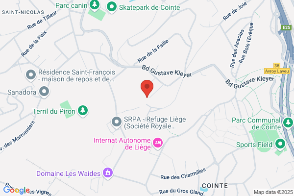 La Pyrotechnie Liégeoise J. M. Voet Scs