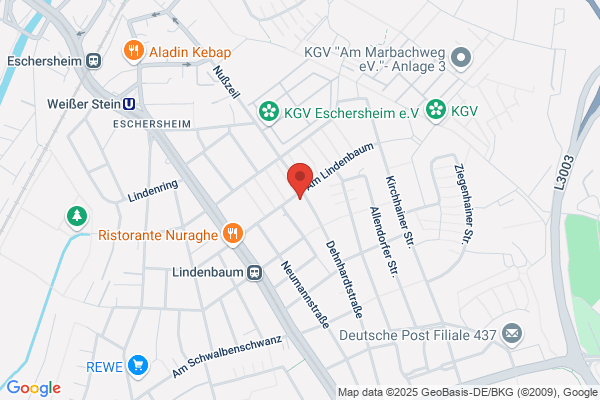 Lindenbaum M
