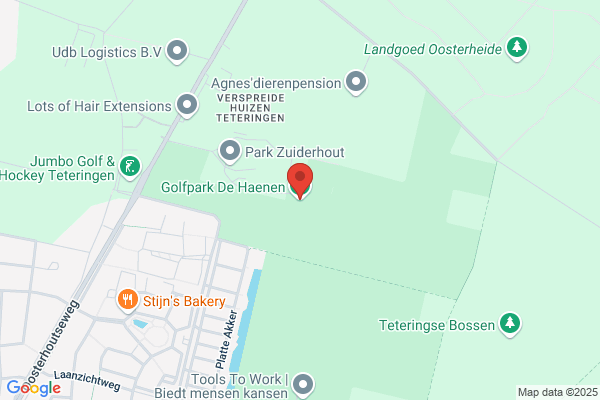 Haenen