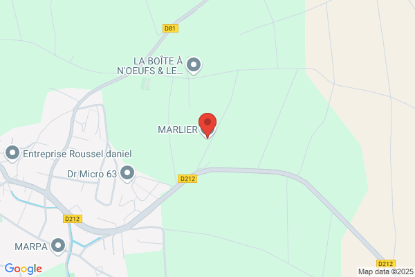 Detroz Marlier Sa