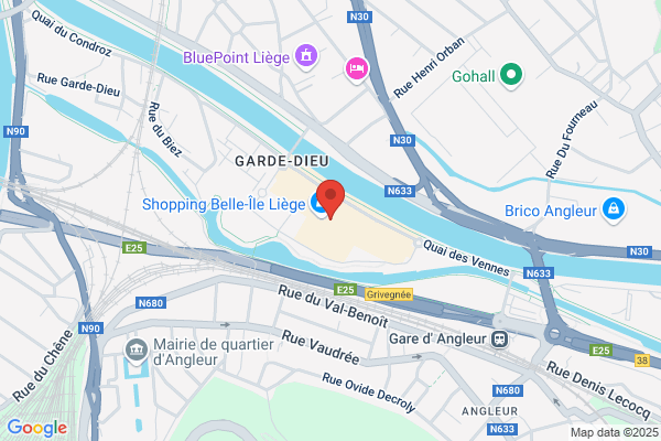 Artisans Cordonniers (Les)