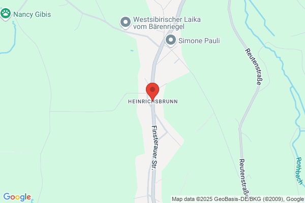 Heinrichs-Piront A.