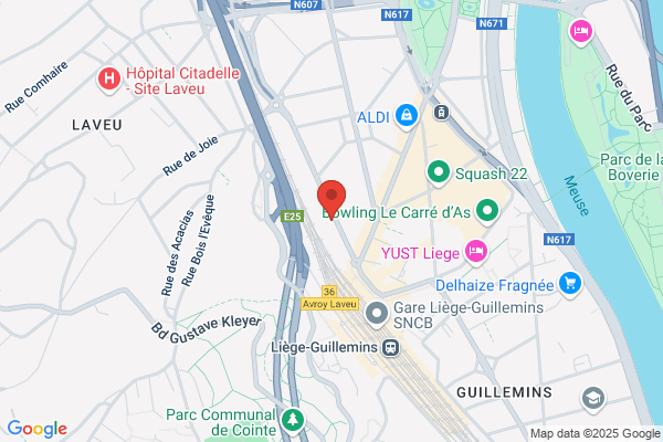 Parking Des Guillemins