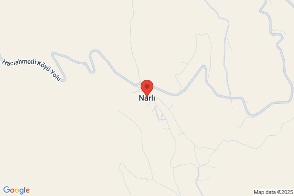 Aksu Narli