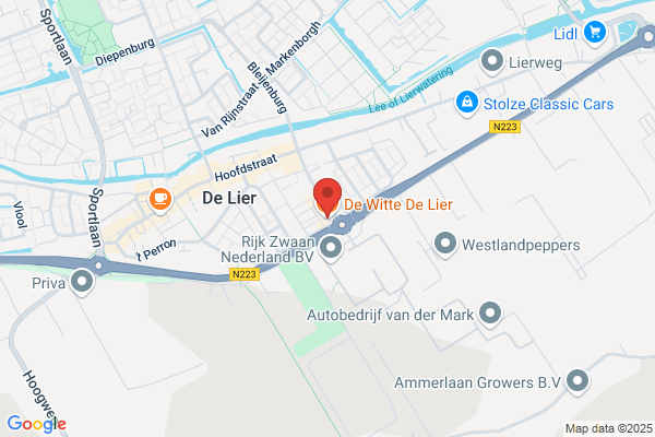 De Witte/Donald