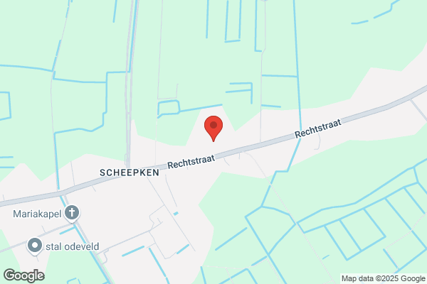 Vercauteren-D'hollander/W.