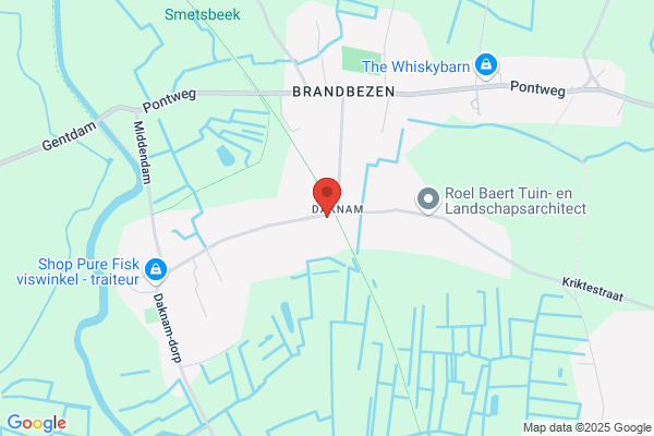 De Wandelaar