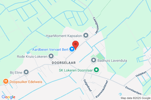 Kint Lokerse Brandstoffen