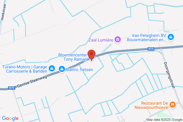 Bloemencenter Raman T