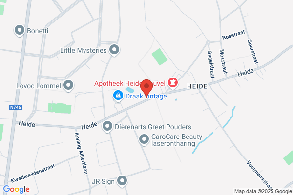 Berghmans F