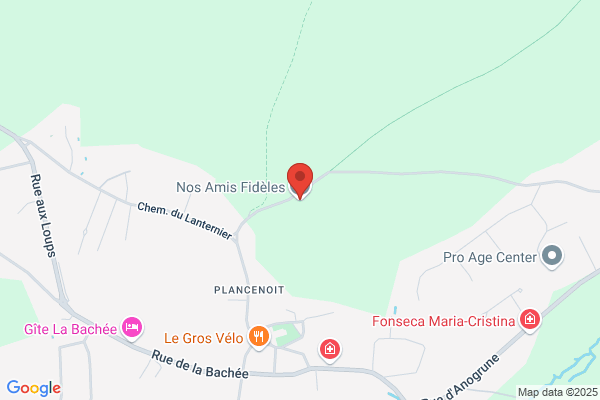 Nos Amis Fidèles