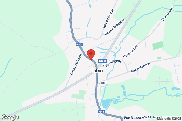 Lambin/Nancy