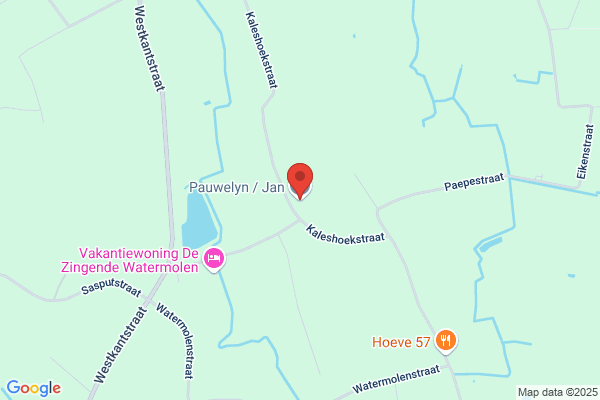Pauwelyn/Jan