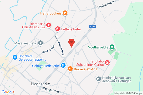 Dhaenens W