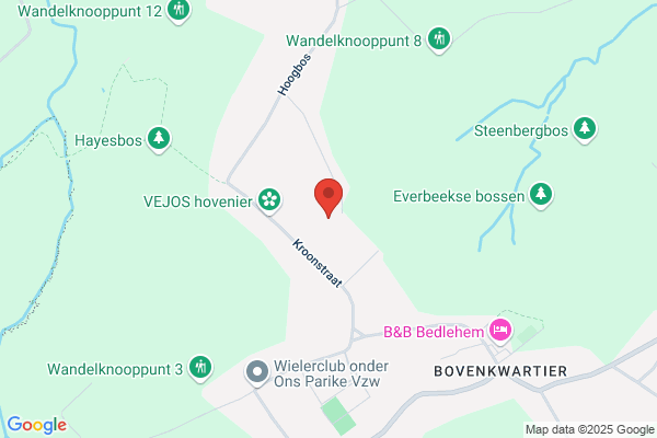 Codde Hendrik Cv