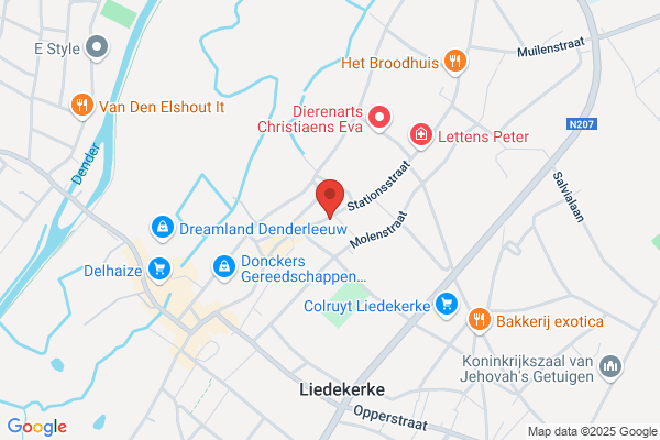 Paeleman