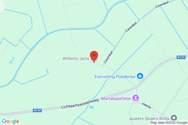 Willems C
